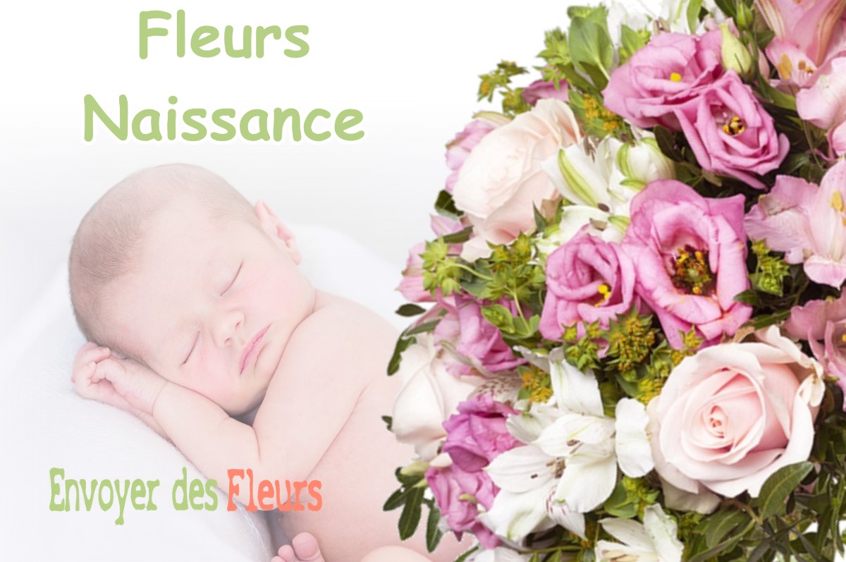 lIVRAISON FLEURS NAISSANCE à ONDES